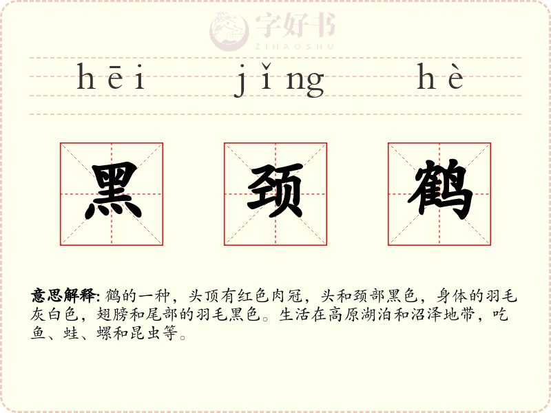 黑颈鹤