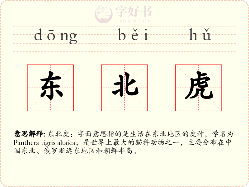 东北虎