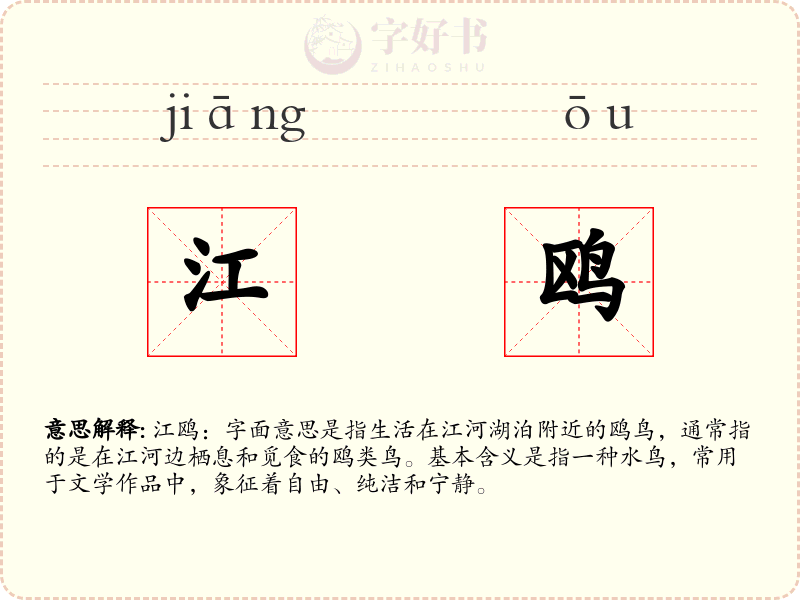 江鸥