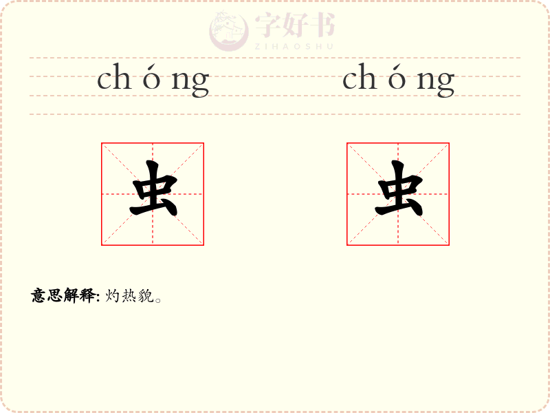 虫虫