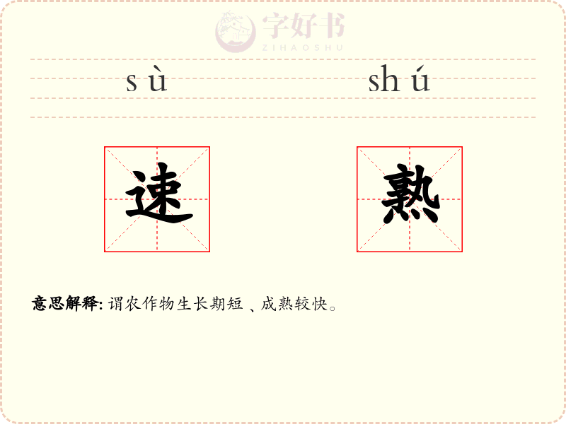 速熟
