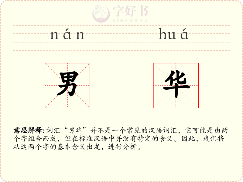 男华