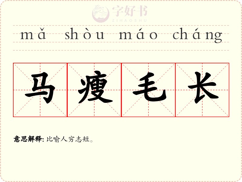 马瘦毛长