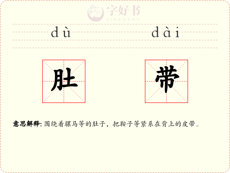 肚带