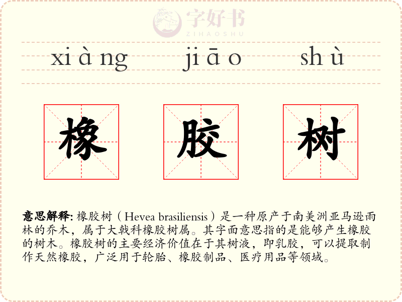 橡胶树