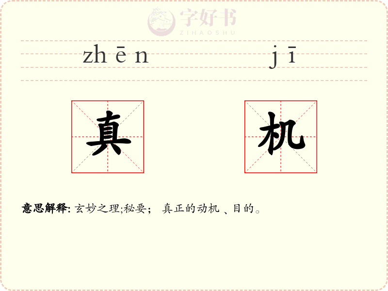 真机