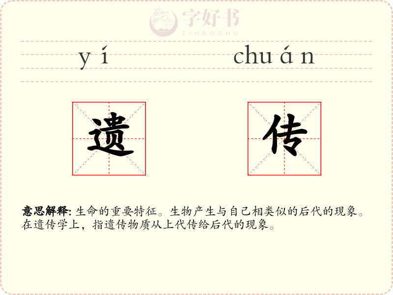 遗传