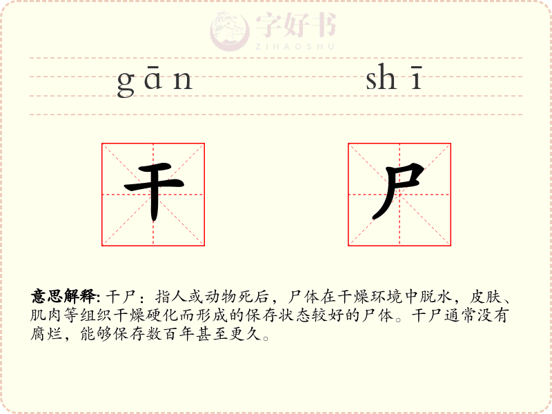 干尸