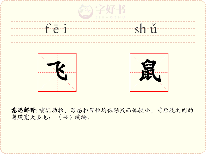 飞鼠