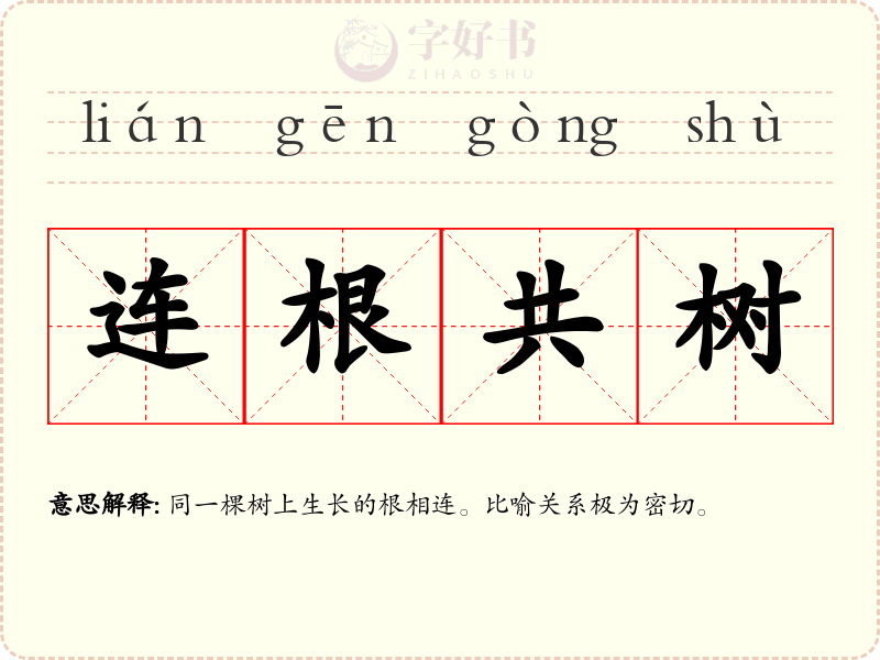连根共树