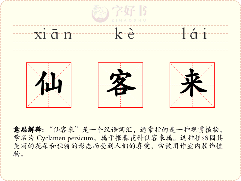 仙客来