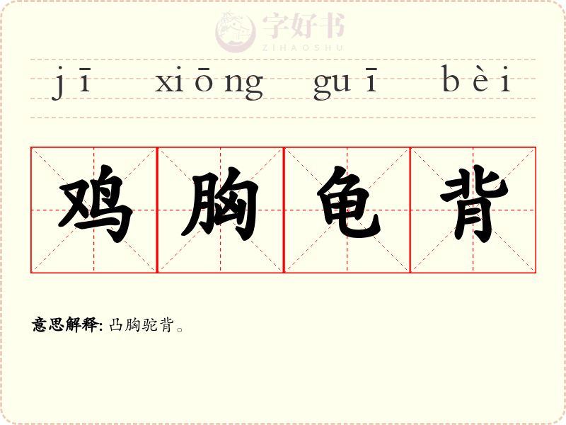 鸡胸龟背
