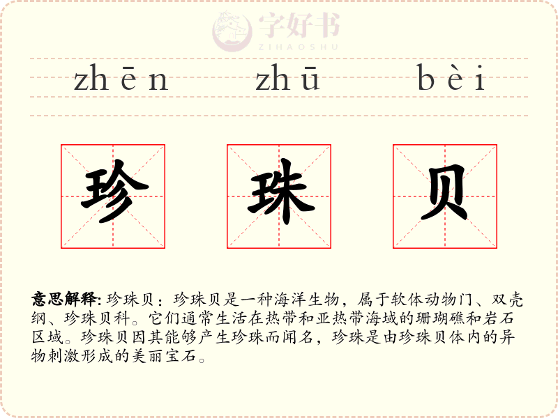 珍珠贝