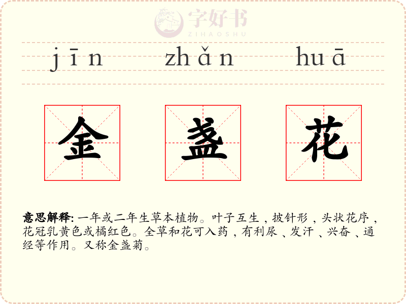 金盏花