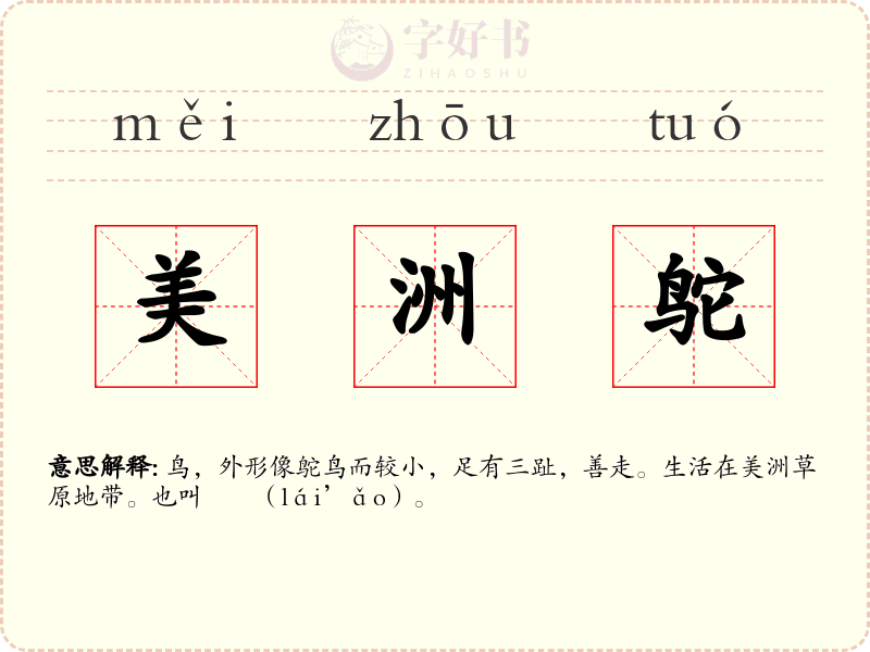 美洲鸵