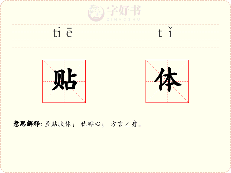 贴体