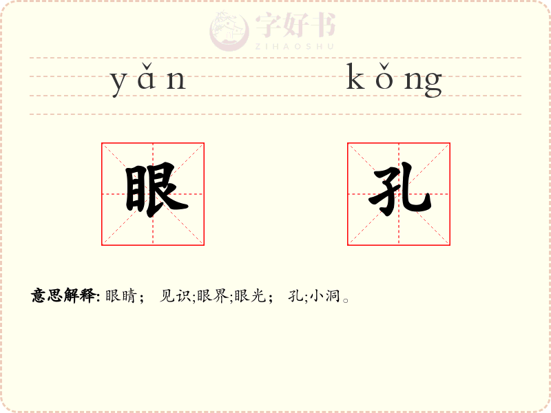 眼孔