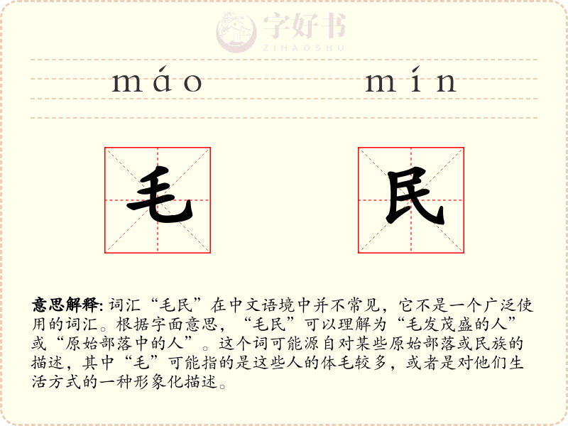 毛民
