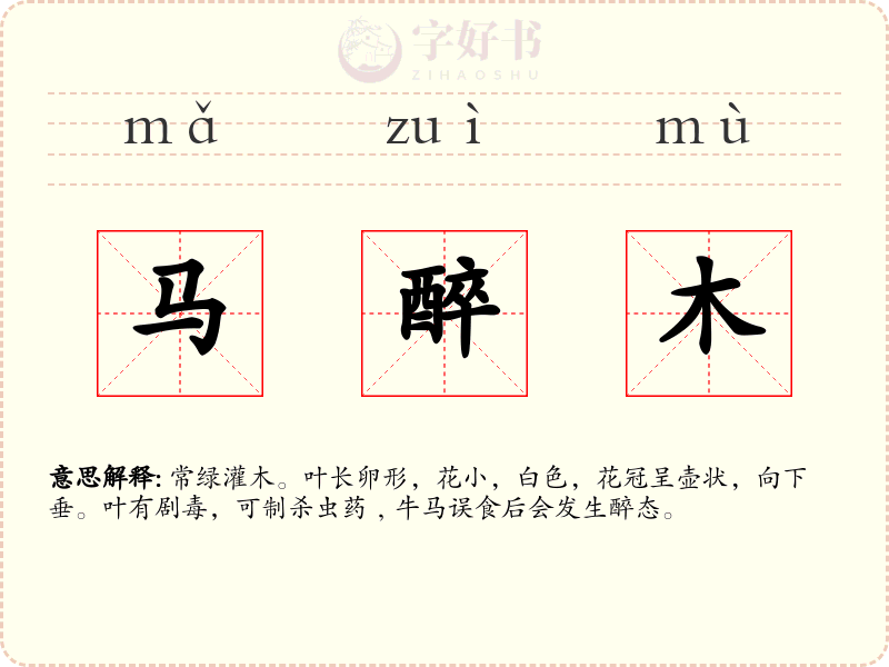 马醉木