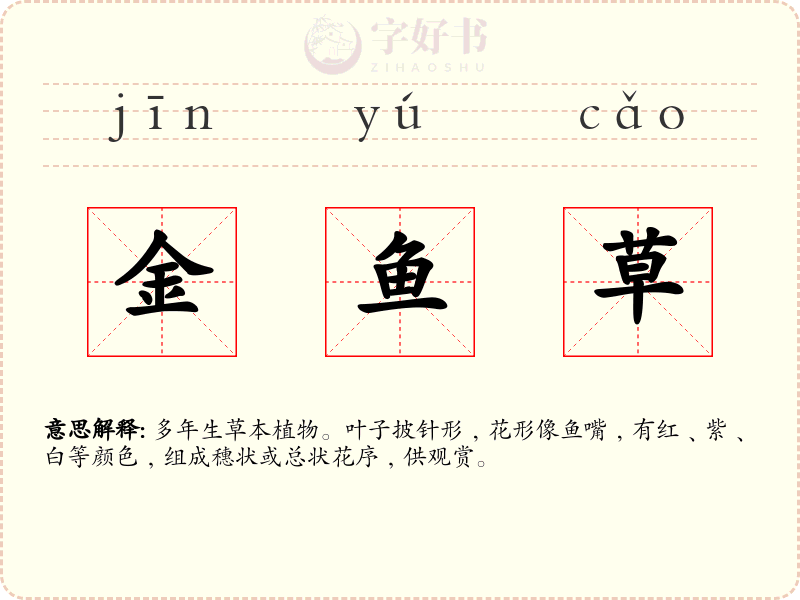 金鱼草