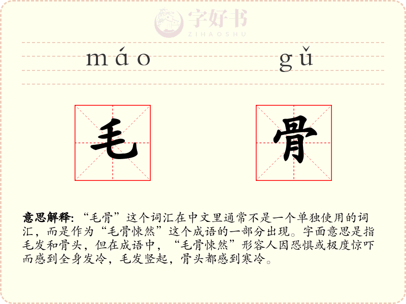毛骨