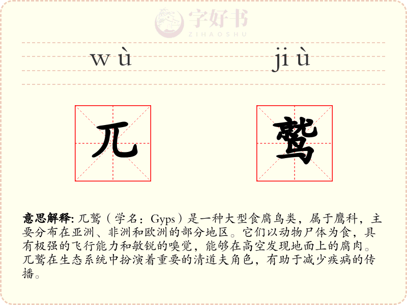 兀鹫