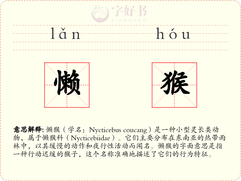 懒猴
