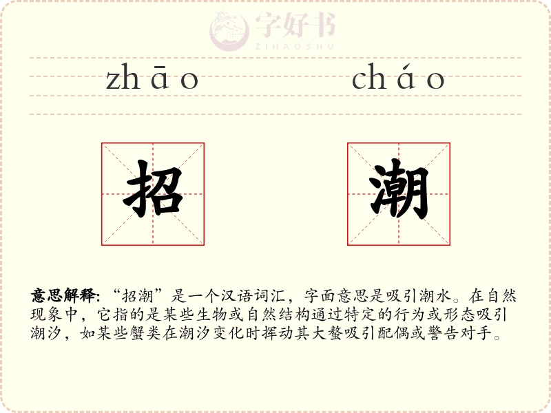 招潮