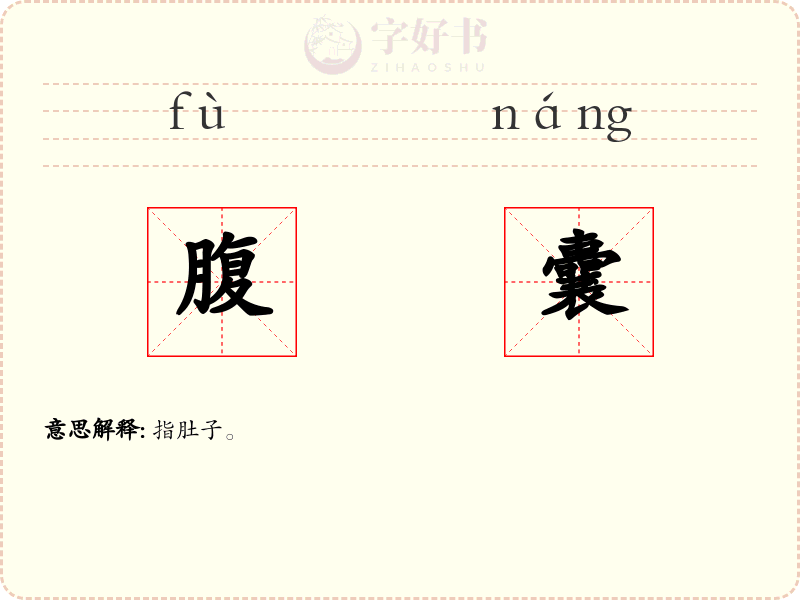腹囊