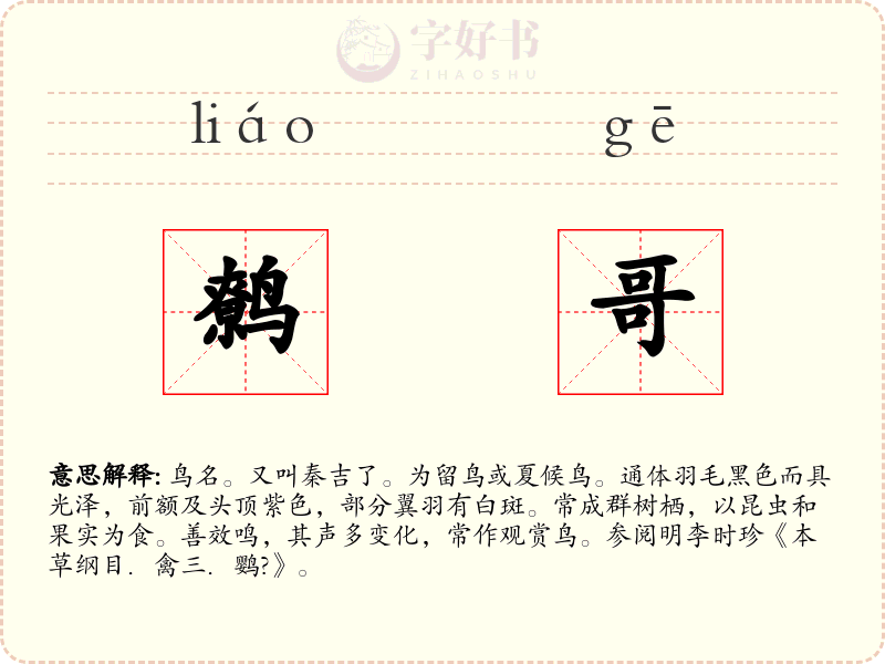 鹩哥
