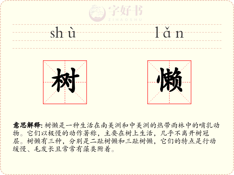 树懒