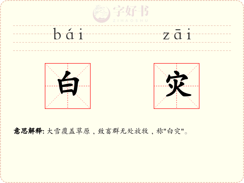 白灾