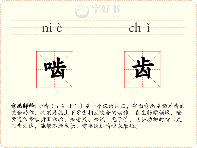 啮齿