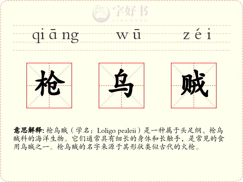 枪乌贼
