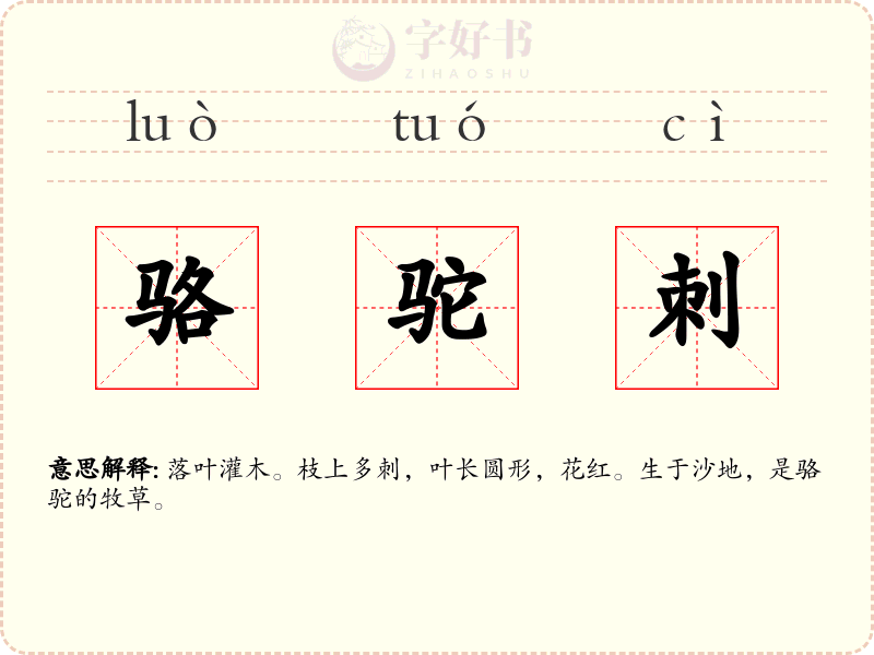 骆驼刺