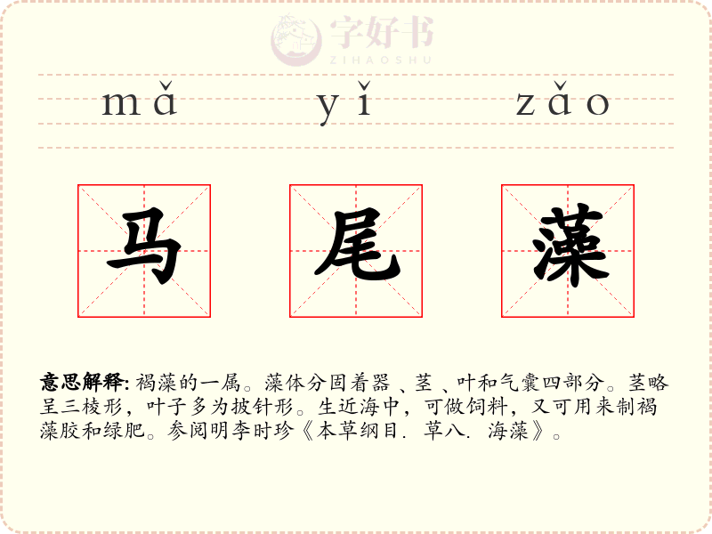 马尾藻