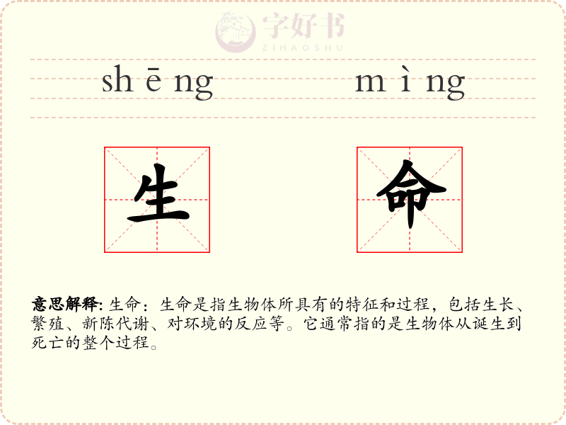 生命