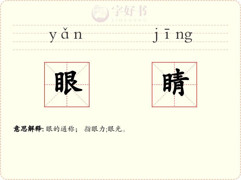 眼睛