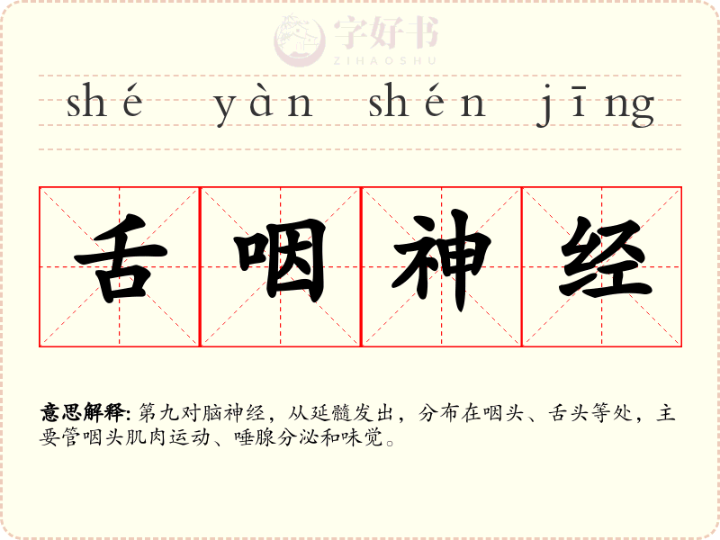 舌咽神经