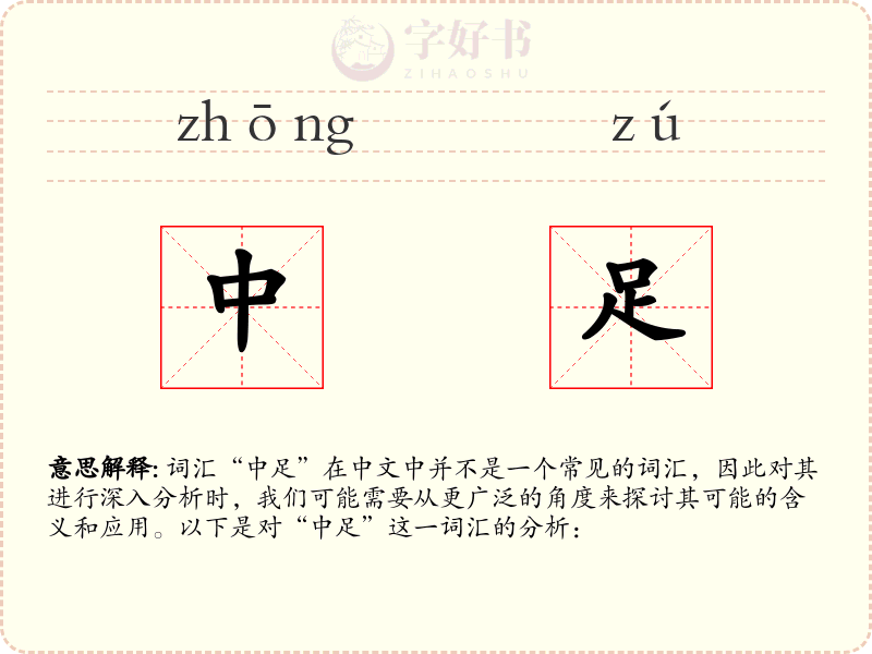 中足