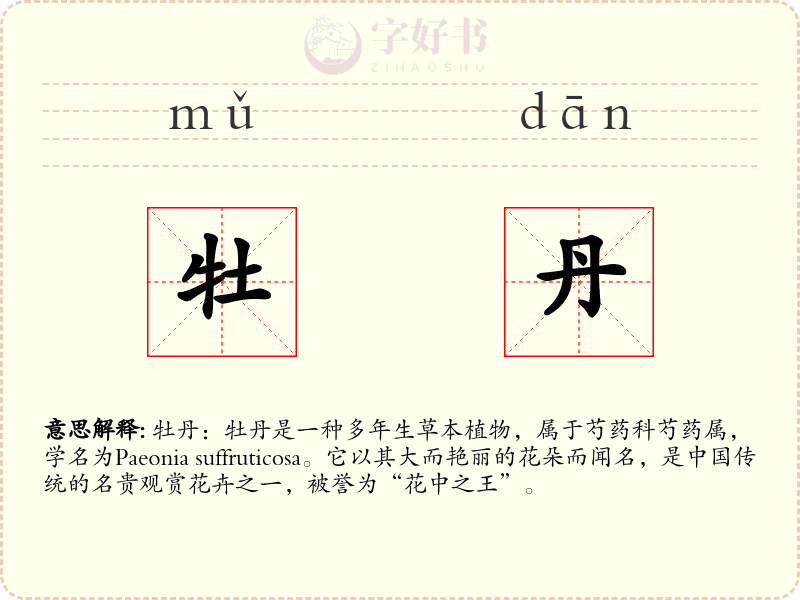 牡丹