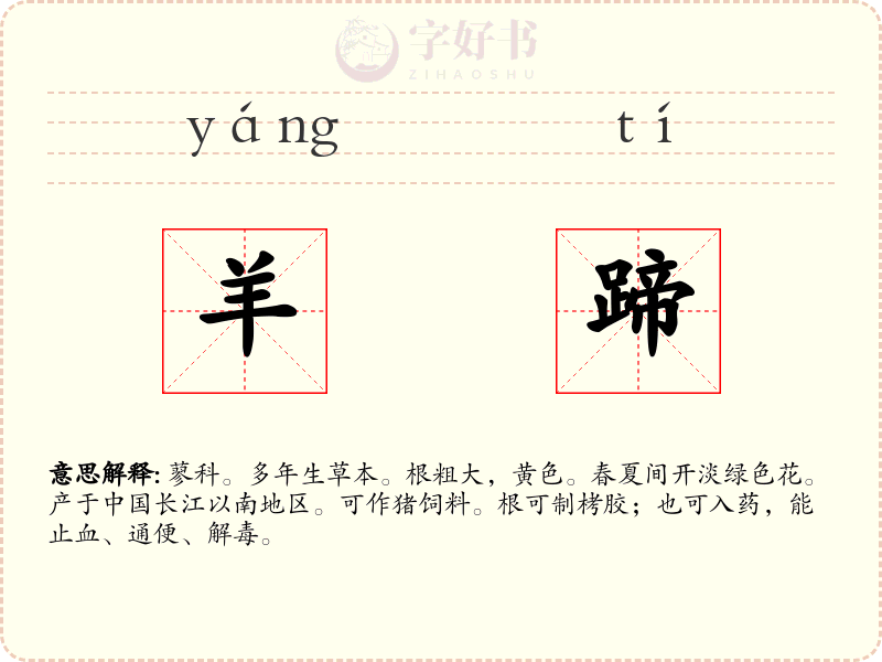 羊蹄