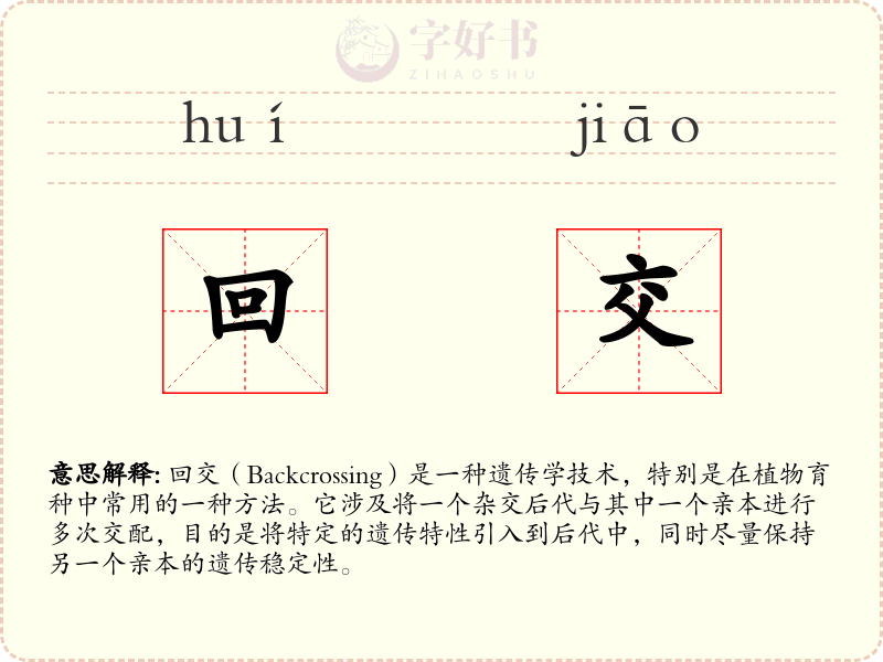 回交
