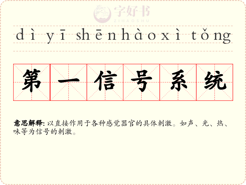 第一信号系统