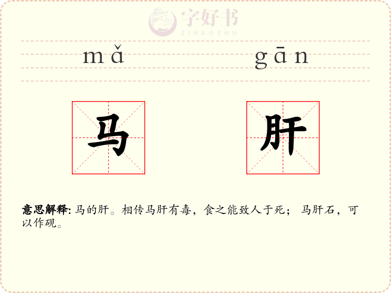 马肝