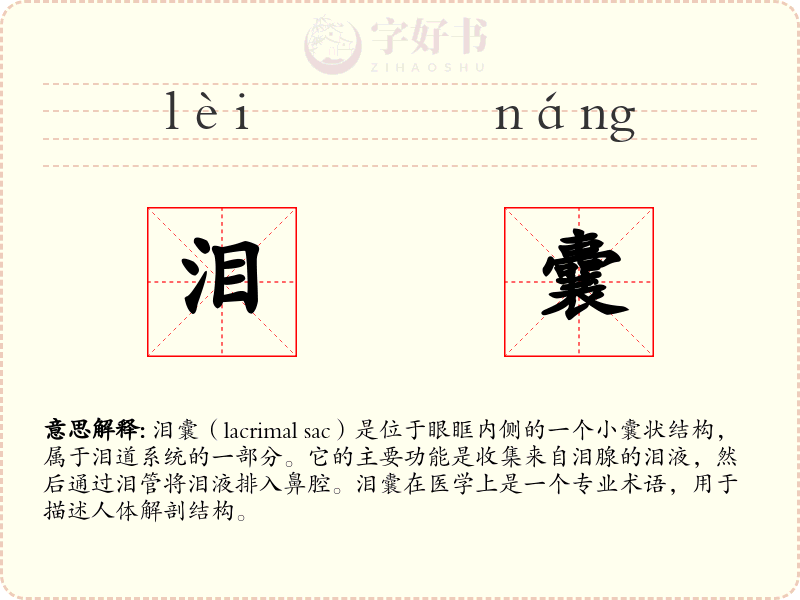 泪囊
