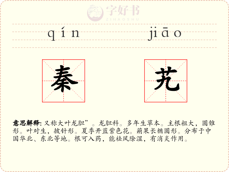 秦艽