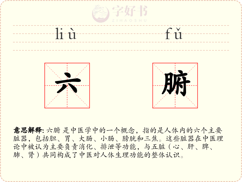 六腑