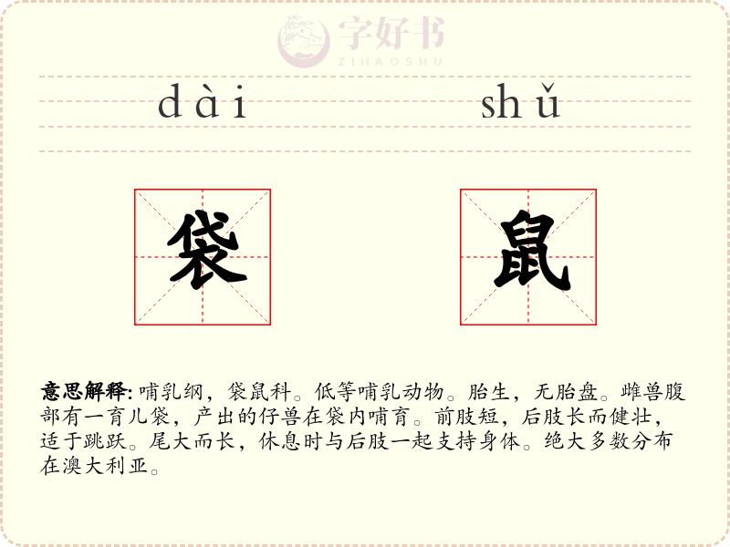 袋鼠