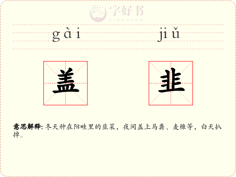 盖韭